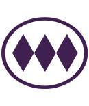 Custom icon